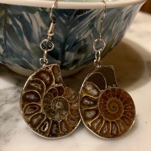 Genuine Ammonite/ Sterling Silver Earrings